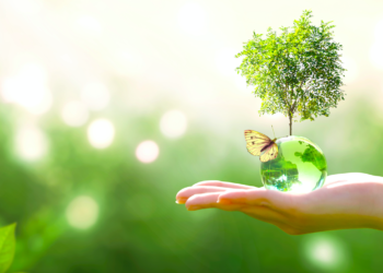 Hand holding small glass globe with a tree growing from it