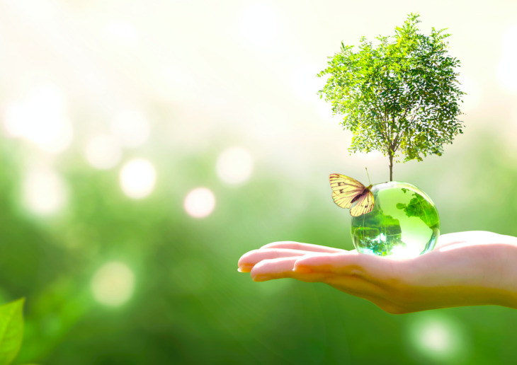 Hand holding small glass globe with a tree growing from it